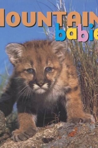 Cover of Mountain Babies