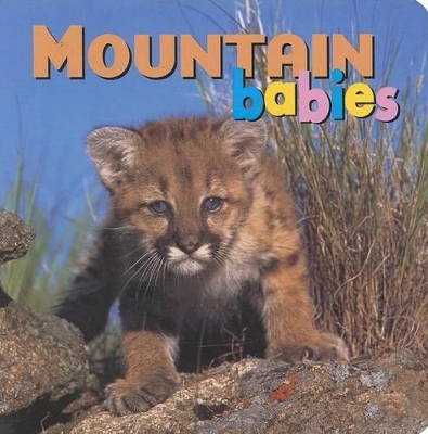 Book cover for Mountain Babies