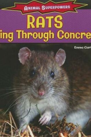 Cover of Rats: Biting Through Concrete!