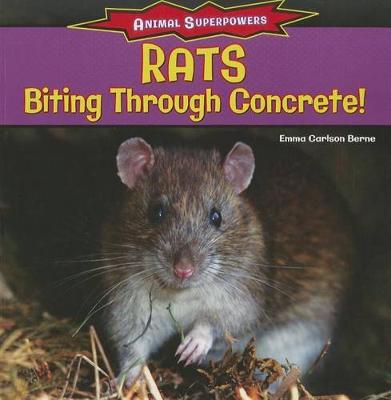 Book cover for Rats: Biting Through Concrete!