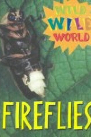 Cover of Fireflies