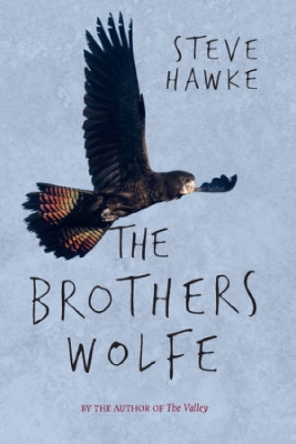 Book cover for The Brothers Wolfe