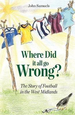 Book cover for Where Did It All Go Wrong?