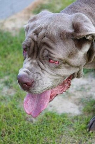 Cover of Gray Neopolitan Mastiff Dog Journal