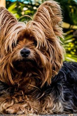 Book cover for Super Cute Yorkshire Terrier Dog Journal