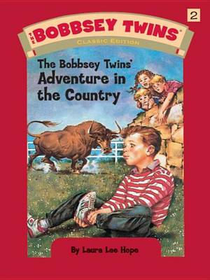 Book cover for Bobbsey Twins 02