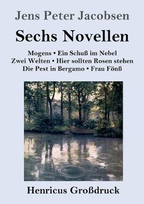 Book cover for Sechs Novellen (Großdruck)