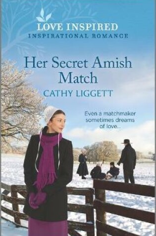 Cover of Her Secret Amish Match
