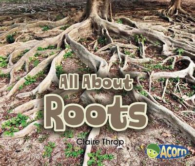 Book cover for All About Roots (All About Plants)