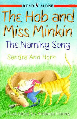 Book cover for The Naming Song