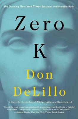 Book cover for Zero K