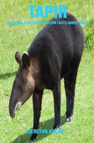 Cover of Tapir