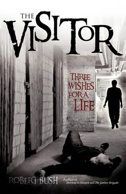 Book cover for The Visitor