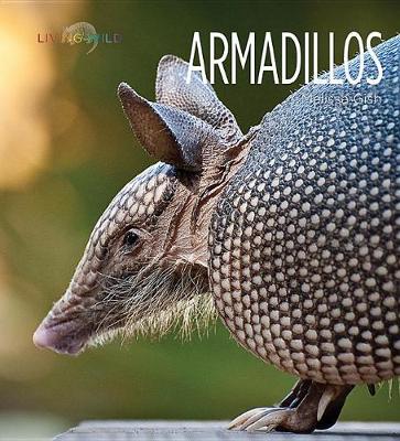 Book cover for Armadillos