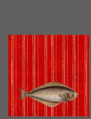 Book cover for Halibut