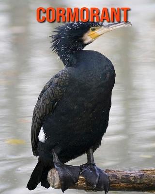 Book cover for Cormorant