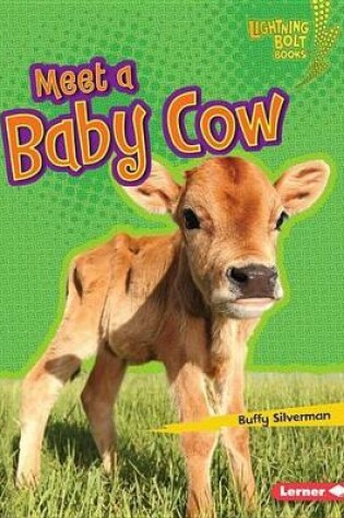 Cover of Meet a Baby Cow