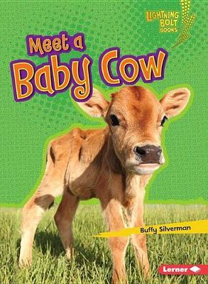 Cover of Meet a Baby Cow