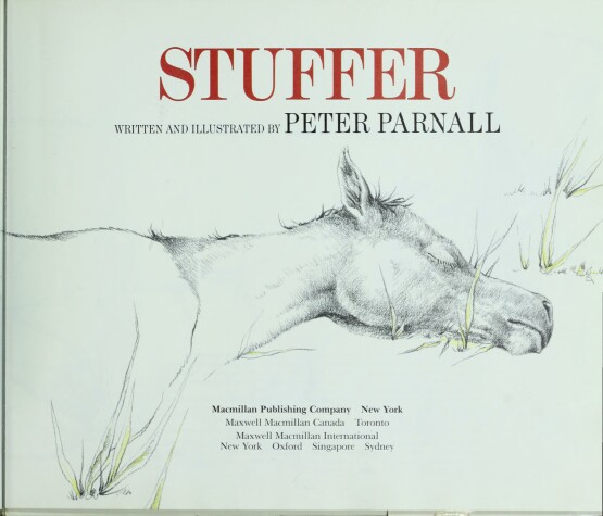 Book cover for Stuffer