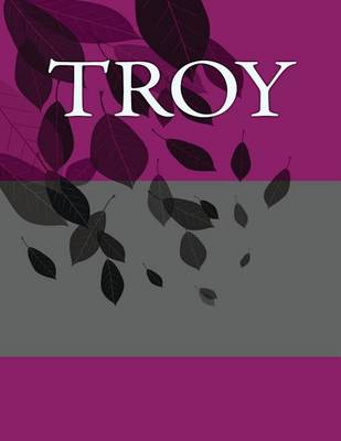 Book cover for Troy