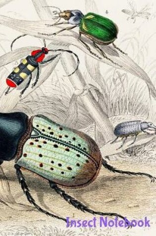 Cover of Insect Notebook