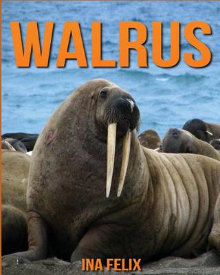 Book cover for Walrus