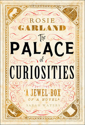 Book cover for The Palace Of Curiosities