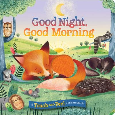 Book cover for Good Night, Good Morning