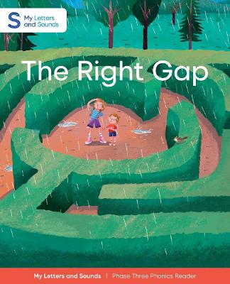 Book cover for The Right Gap