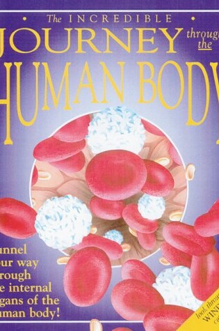 Cover of Through the Human Body