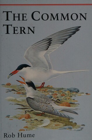 Cover of The Common Tern