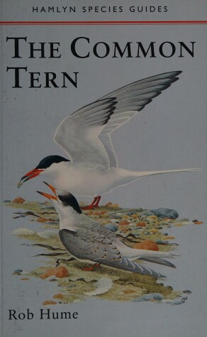 Book cover for The Common Tern