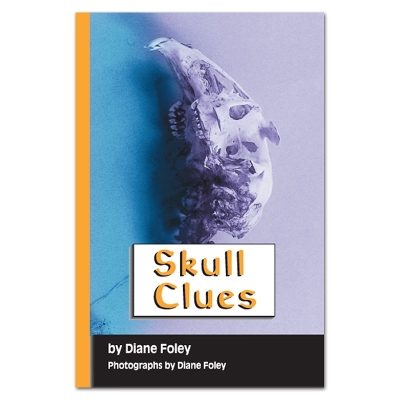 Book cover for Skull Clues