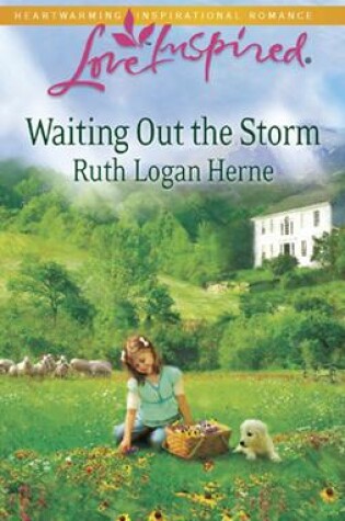 Cover of Waiting Out the Storm