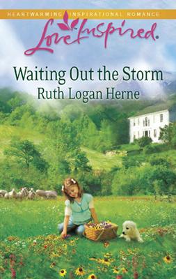 Book cover for Waiting Out the Storm