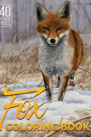 Cover of Fox Coloring Book