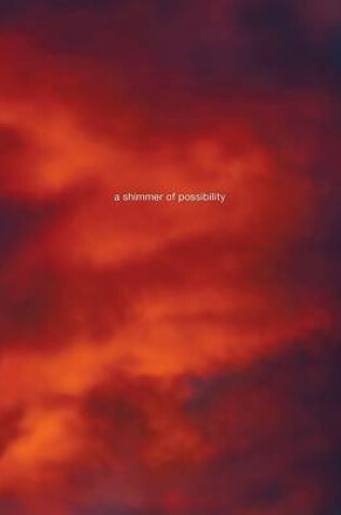 Cover of Paul Graham: A Shimmer of Possibility