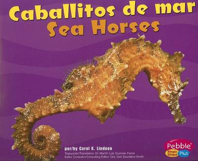 Book cover for Caballitos de Mar/Sea Horses