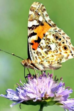 Cover of Painted Lady Butterfly on a Purple Flower, for the Love of Nature