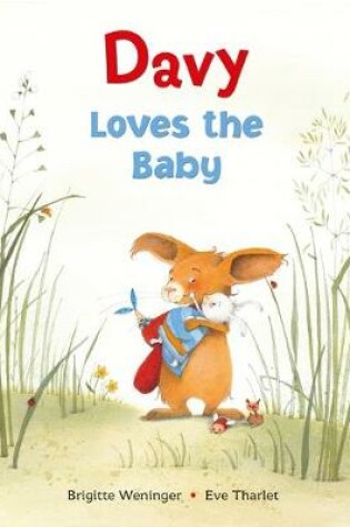 Cover of Davy Loves the Baby