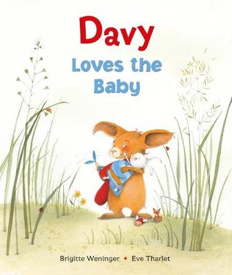 Book cover for Davy Loves the Baby