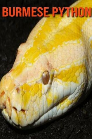 Cover of Burmese Python