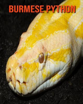 Book cover for Burmese Python