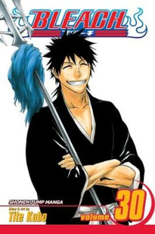 Cover of Bleach, Vol. 30