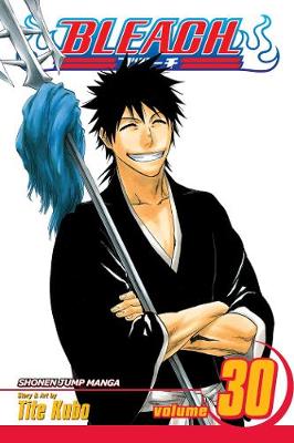 Book cover for Bleach, Vol. 30