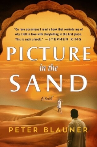 Cover of Picture in the Sand