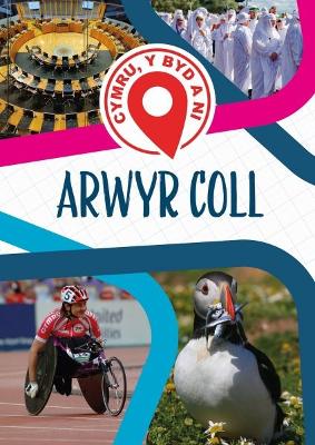 Book cover for Cymru, Y Byd a Ni: Arwyr Coll