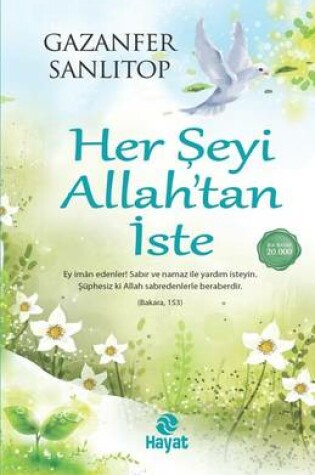 Cover of Herseyi Allah'tan iste