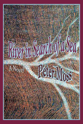 Book cover for River in Search of a Sea