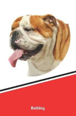 Cover of Bulldog